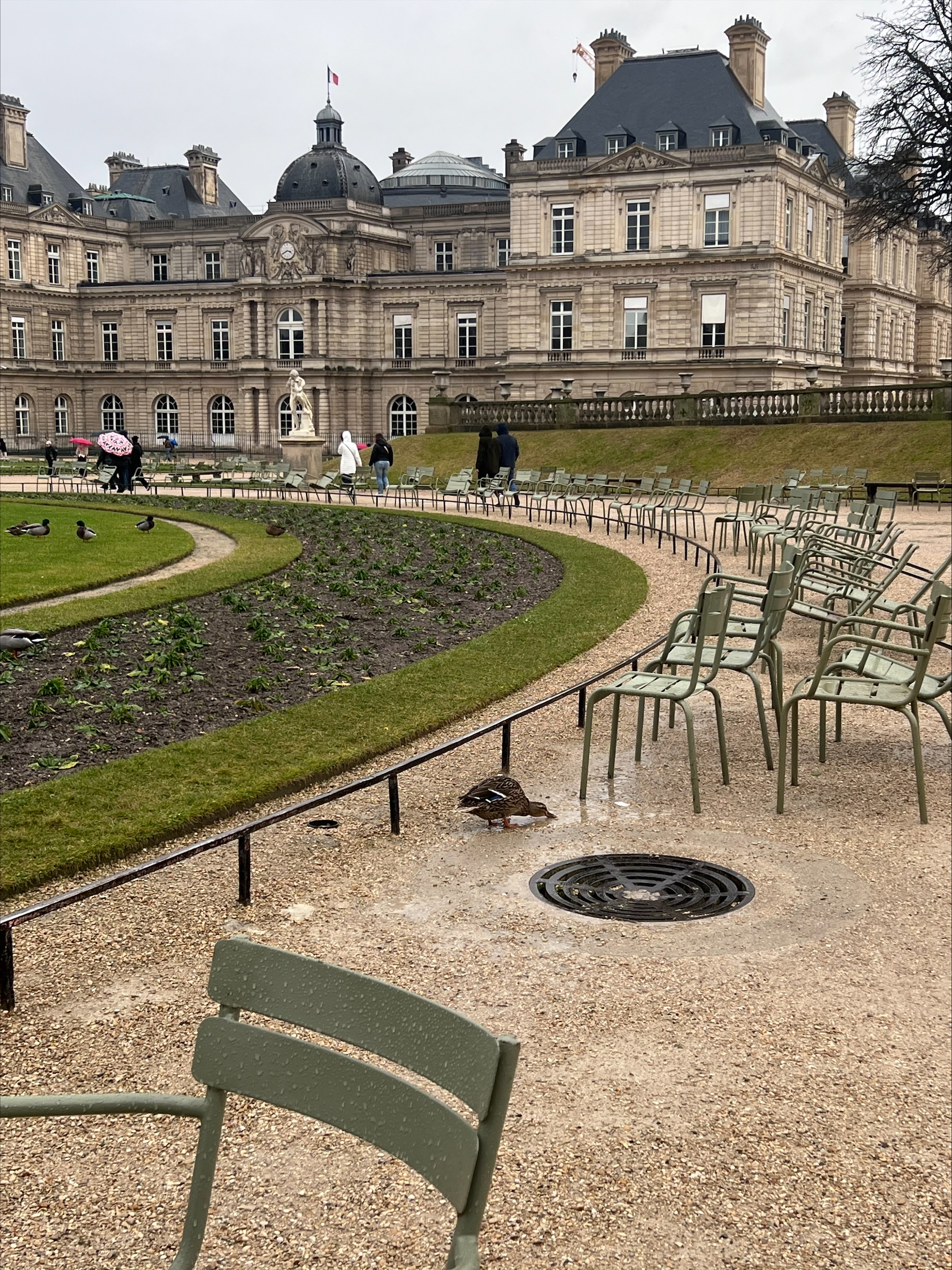 processed-AE6944DC-509F-4506-A188-04A8657C92FB